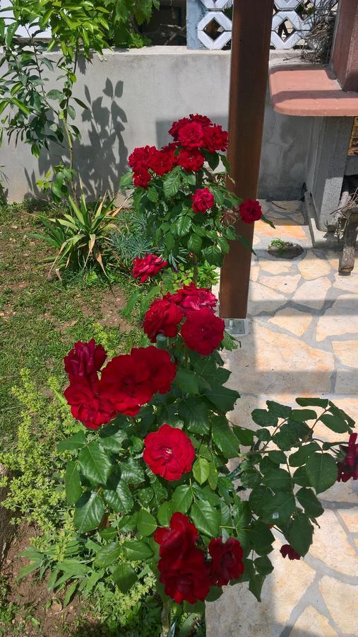 Holiday Home Arbanase Zadar Dış mekan fotoğraf